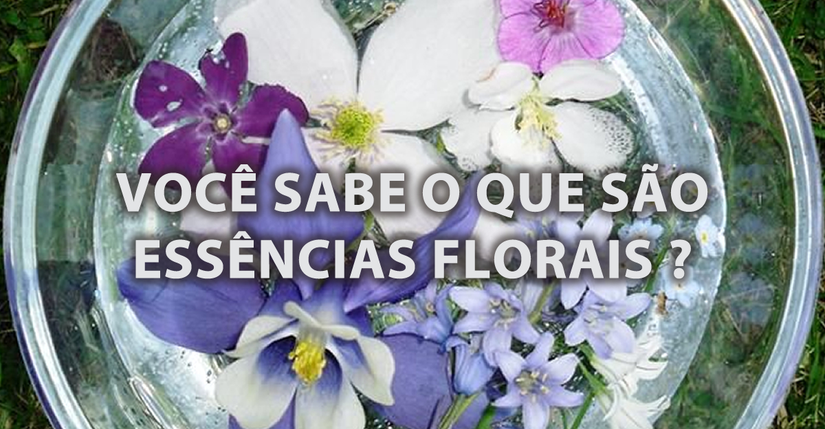 O QUE SAO ESSENCIAS FLORAIS